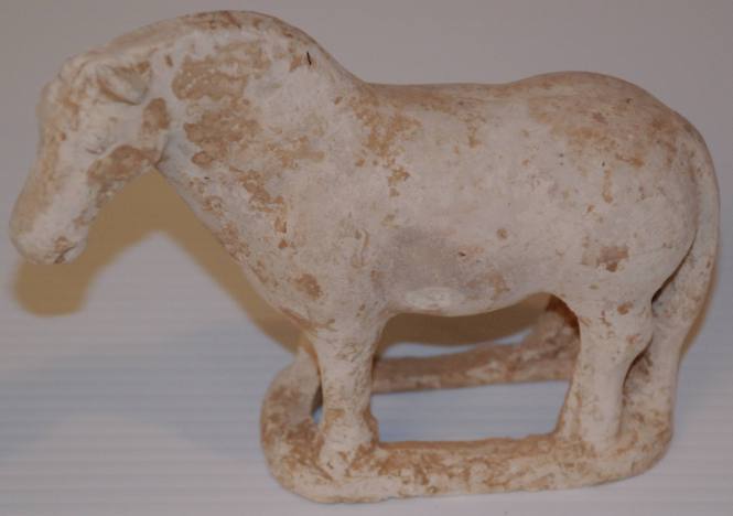 Small Horse