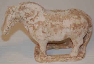 Small Horse