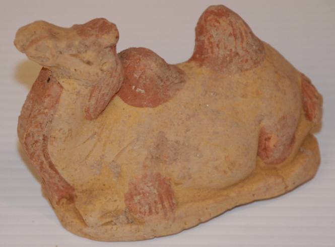 Small Recumbent Camel