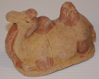 Small Recumbent Camel