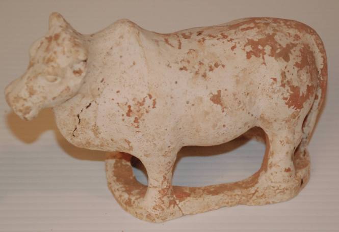 Small Ox