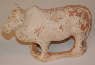 Small Ox