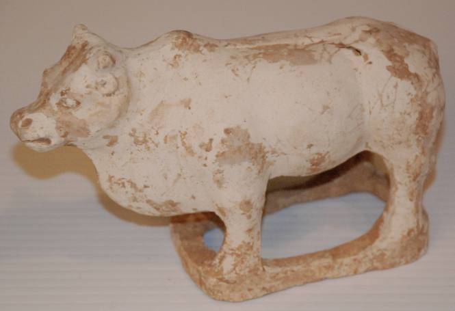 Small Ox