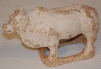 Small Ox