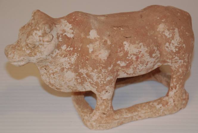 Small Ox