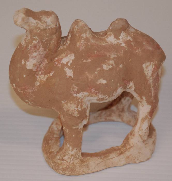 Small Bactrian Camel
