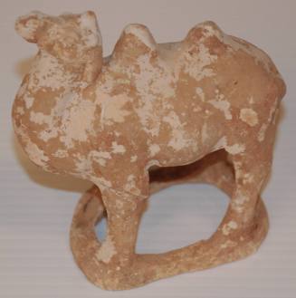 Small Bactrian Camel