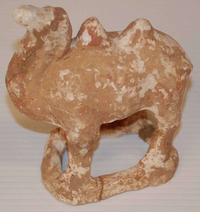 Small Bactrian Camel