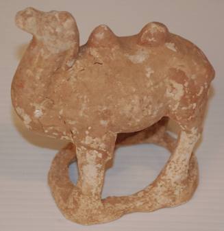 Small Bactrian Camel