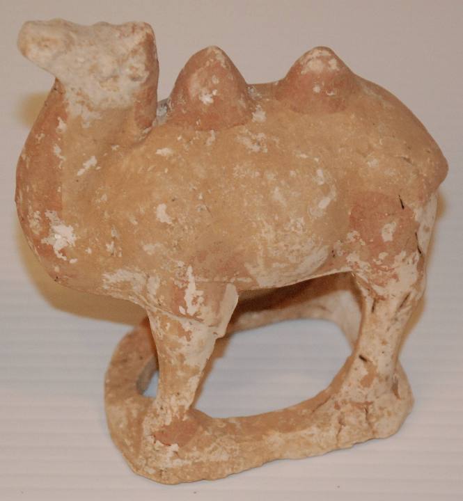 Small Bactrian Camel
