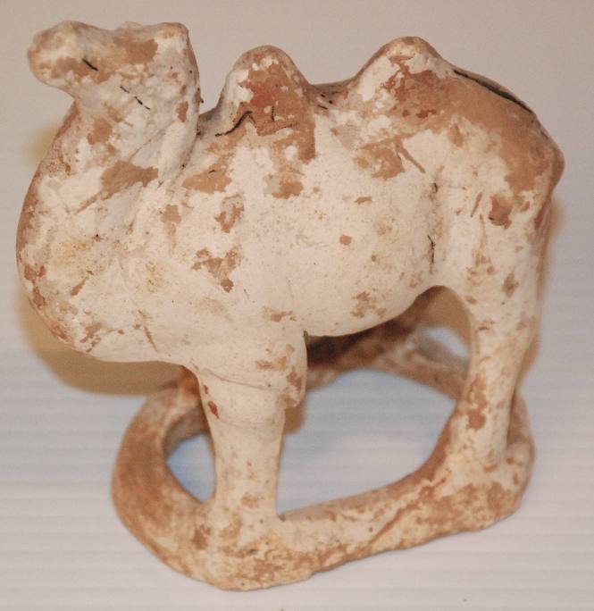 Small Bactrian Camel