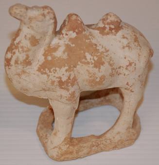Small Bactrian Camel