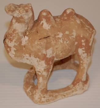Small Bactrian Camel