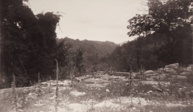 Chittenango Ravine, Syracuse, NY