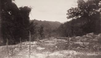 Chittenango Ravine, Syracuse, NY