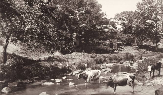 Chester Creek, Chester County, PA