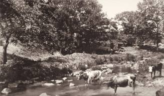 Chester Creek, Chester County, PA