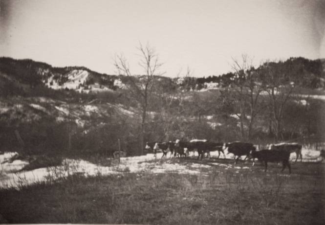 Big Pasture, Marbourough Ranch Houses Across Creek