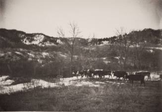 Big Pasture, Marbourough Ranch Houses Across Creek