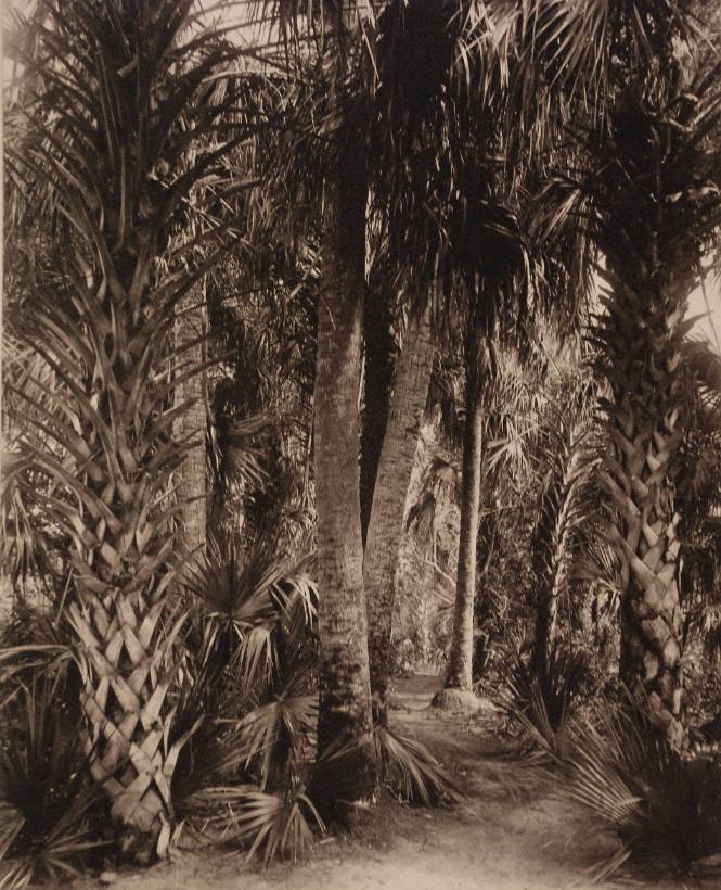 Palm Grove, Palm Beach, Florida