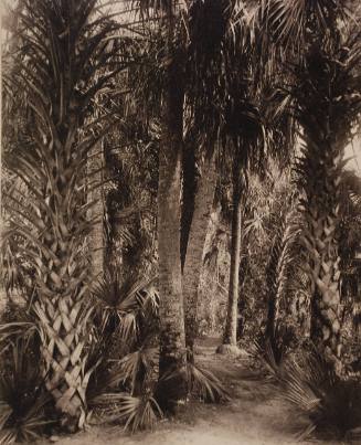 Palm Grove, Palm Beach, Florida