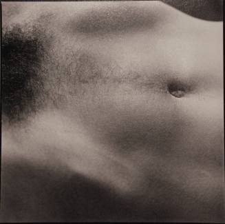 Male Nude (Torso of Christoph)