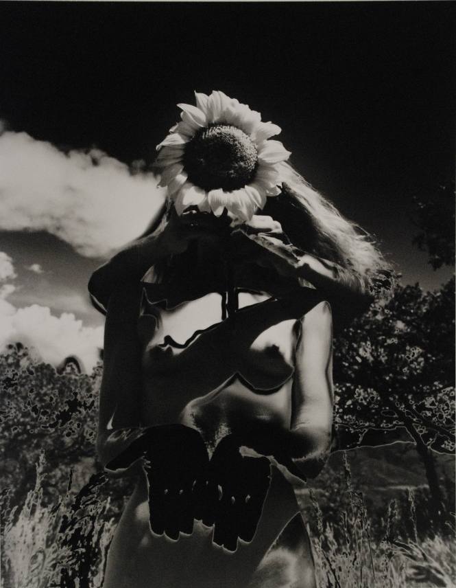 Sunflower Song (Nude portfolio)