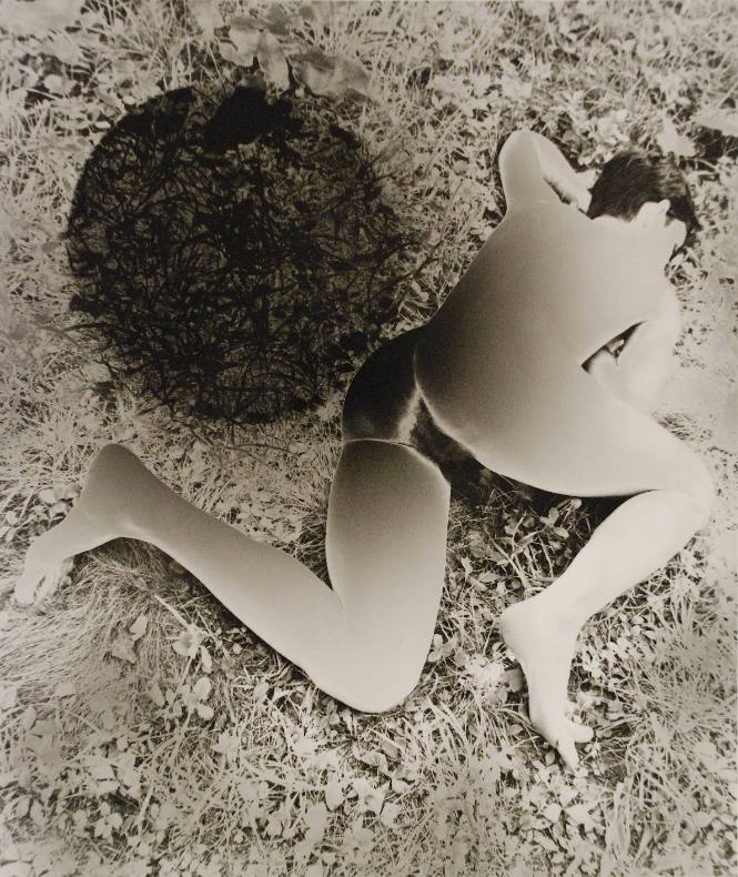 Black Lilies #2 (Nude portfolio)