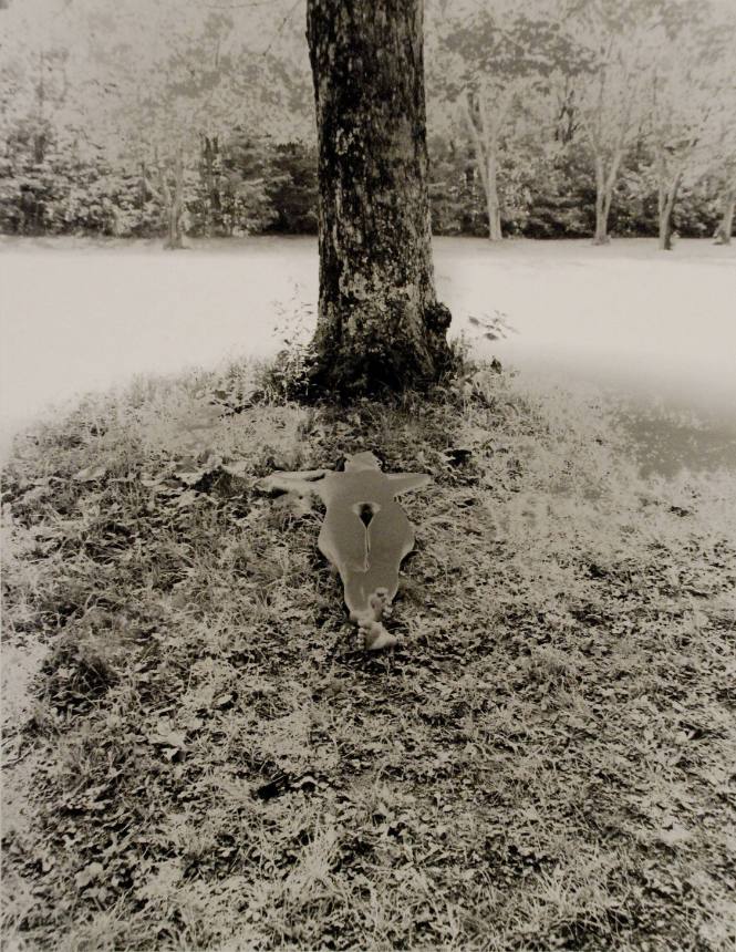 Shadow of a Bodhi Tree (Nude portfolio)