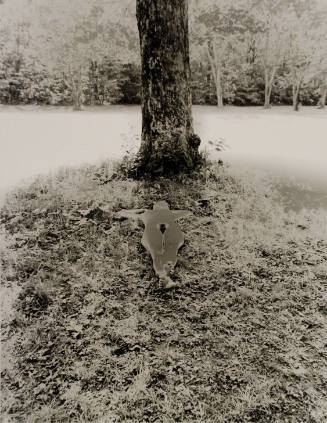Shadow of a Bodhi Tree (Nude portfolio)