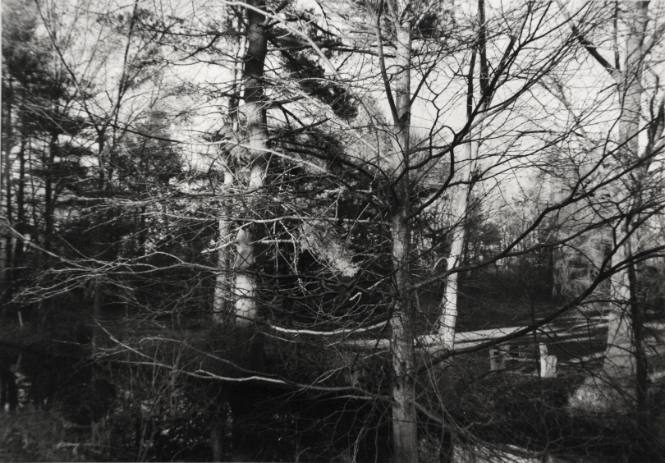 Looking Northeast across Casper’s Kill