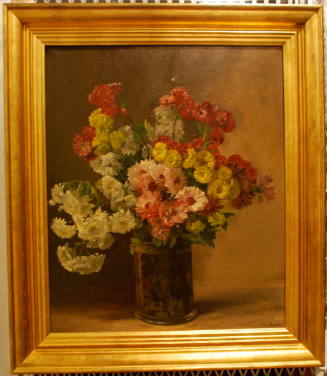 Asters