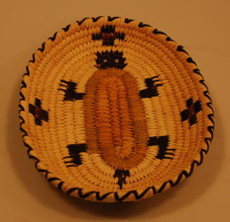 Basket Tray with Lizard and Coyote Tracks Design