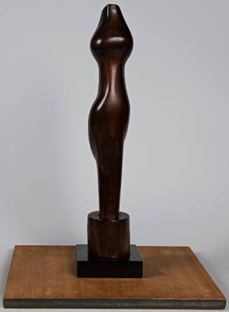 Torso