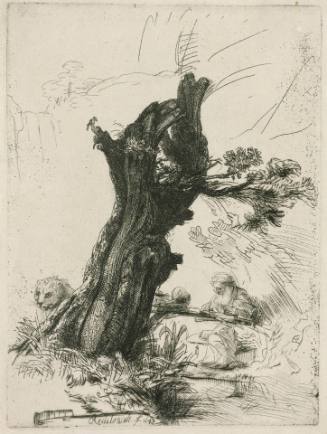St. Jerome Beside a Pollard Willow