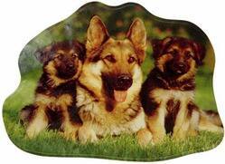 German Shepherd Sticker, from Exit Art portfolio, 2006: TRANCE/BORDERS