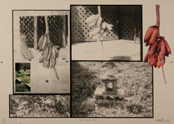 Bananas, from Exit Art portfolio, 2009: America America