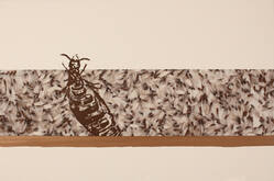 Mad Era, from Exit Art portfolio, 2011: SEA (Social-Environmental Aesthetics)