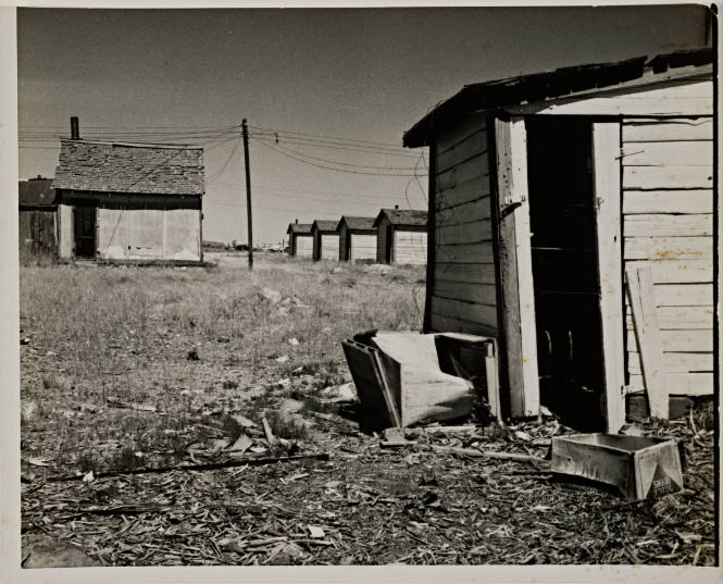 Rural landscape with sheds