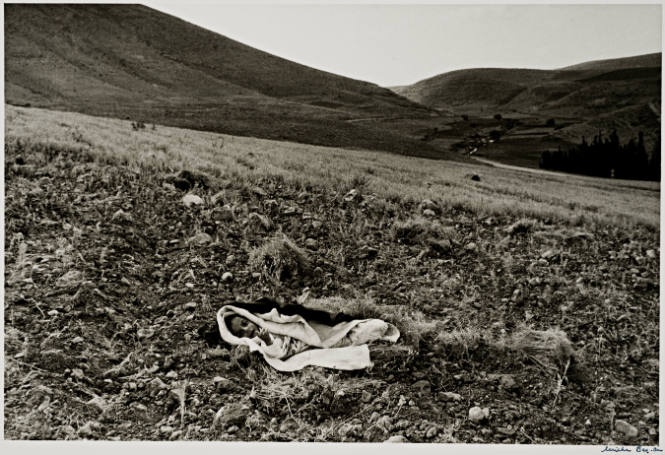 Untitled (Bedouin baby in the desert)