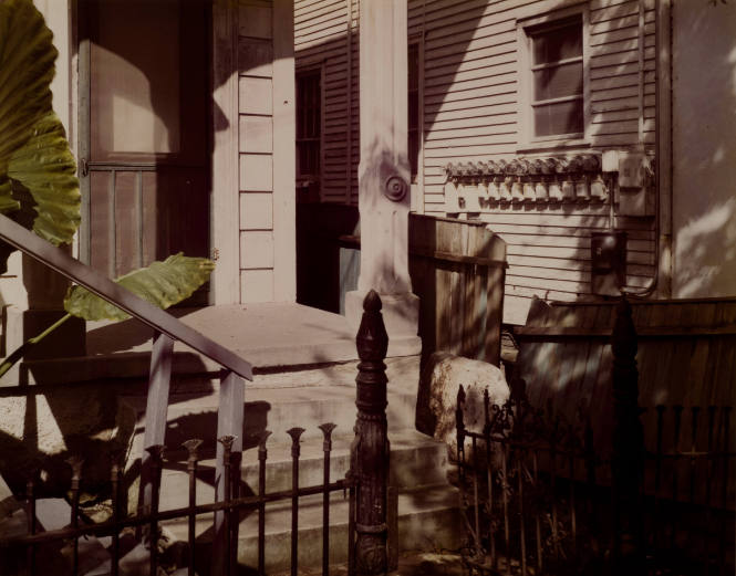 White House, Black Fence, Fronds