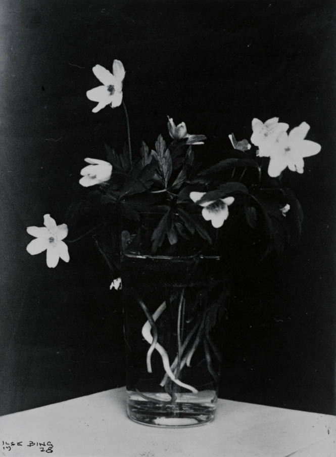 Ilse Bing