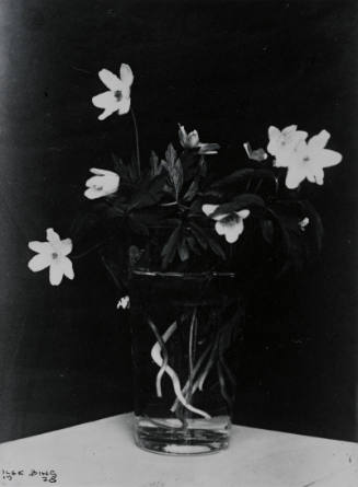 Ilse Bing