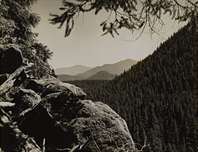 Mountain Ranges in the Willamette National Forest, Lynn County, Oregon
