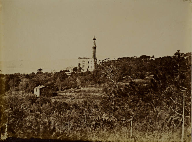 Mediterranean Landscape