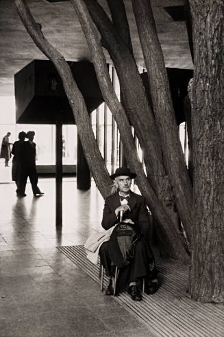 Man Seated under Large Indoor Tree, Brussels World Fair