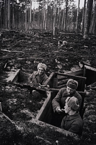 In the Foxholes