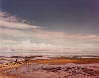 Bay/Sky Series
