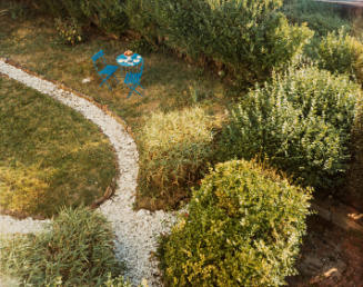 Garden, Provincetown