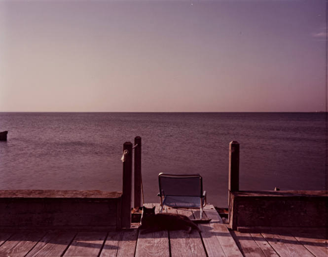 Deck, Chair